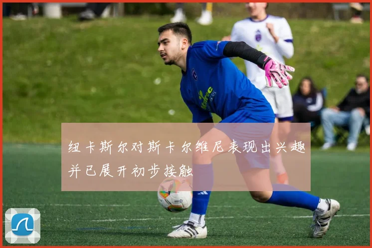 纽卡斯尔对斯卡尔维尼表现出兴趣并已展开初步接触